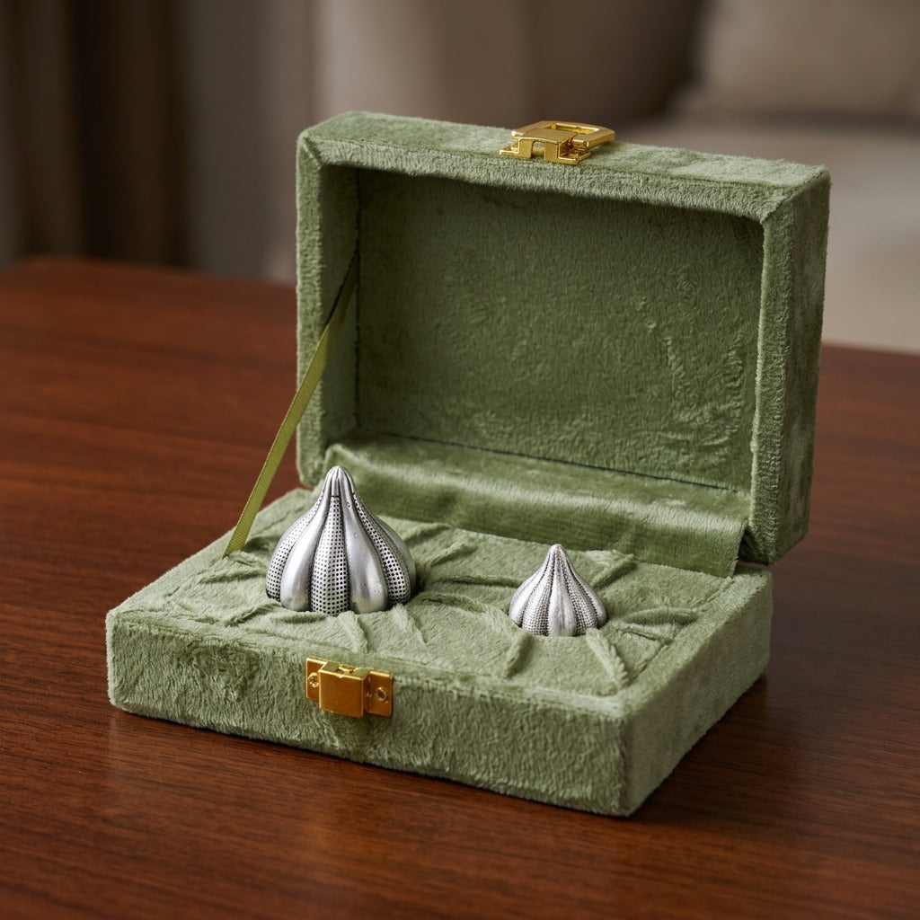 Modak Set in Pure Silver Plating